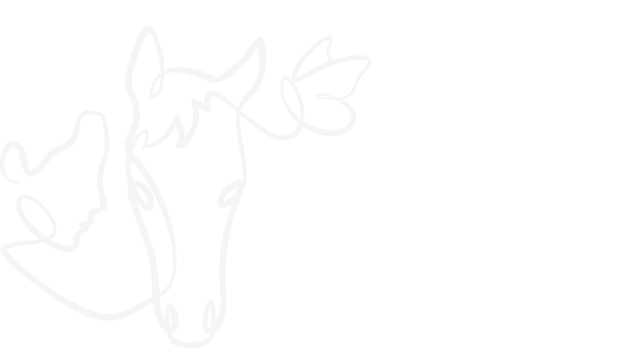 Trauerbegleitung mit Pferd